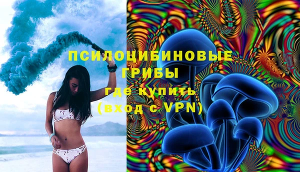 амф Алексин