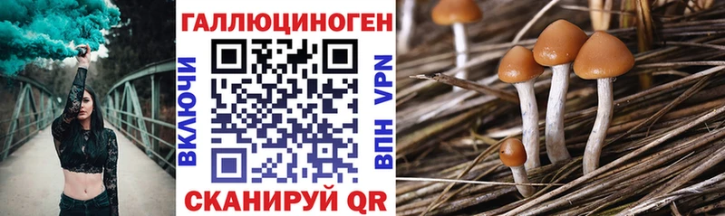 как найти наркотики  Нытва  Галлюциногенные грибы Psilocybine cubensis 